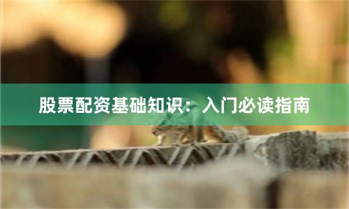 股票配资基础知识：入门必读指南