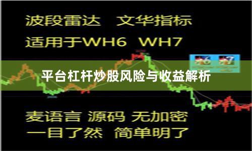 平台杠杆炒股风险与收益解析